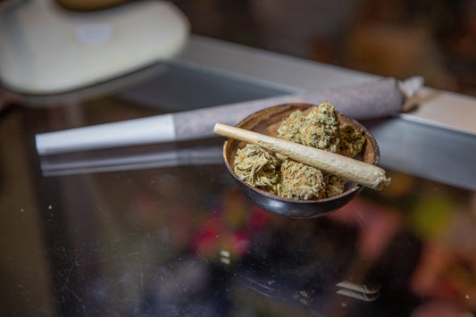 How to Roll a Blunt: Beginner's Guide with a Crutch