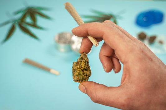 Want to Know How to Roll a Blunt Without a Filter Tip?