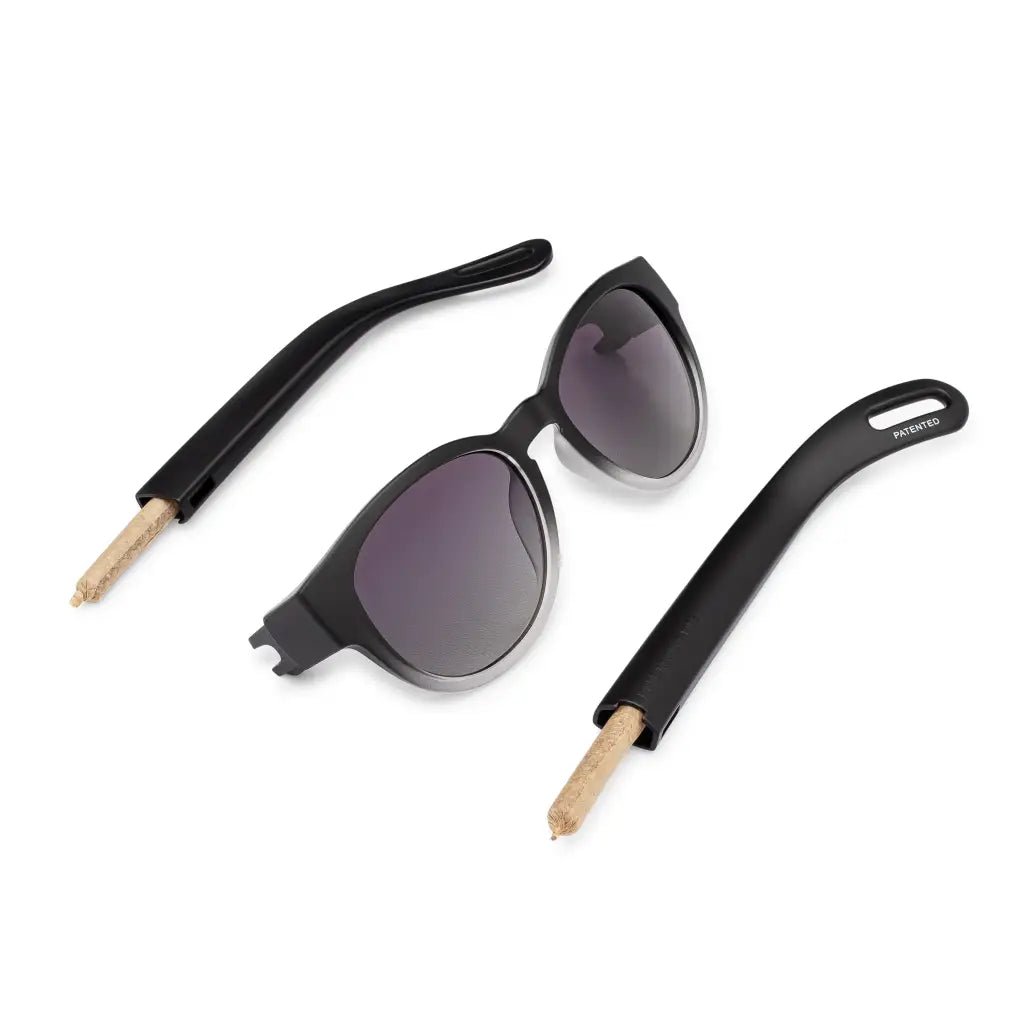 Vice Rays Sunglasses - DoinkRollerz Shop