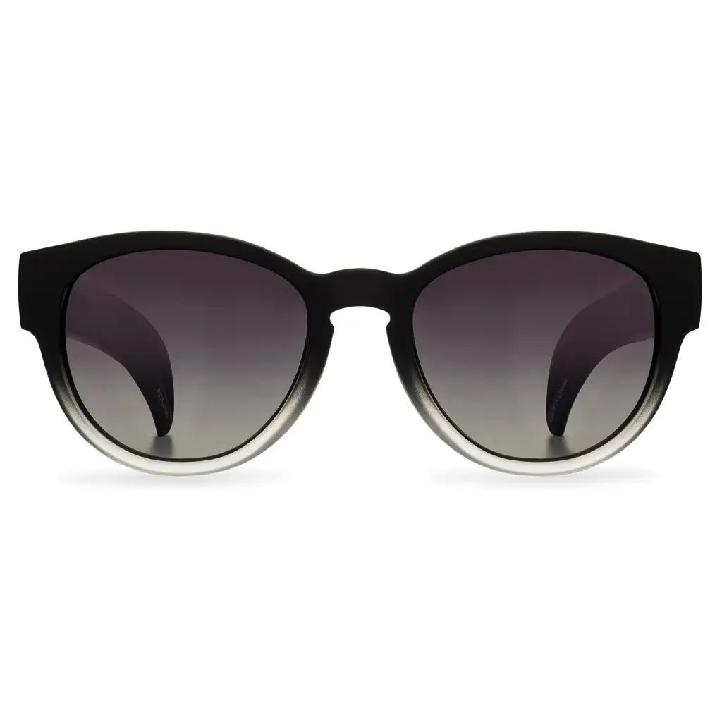 Vice Rays Sunglasses - DoinkRollerz Shop